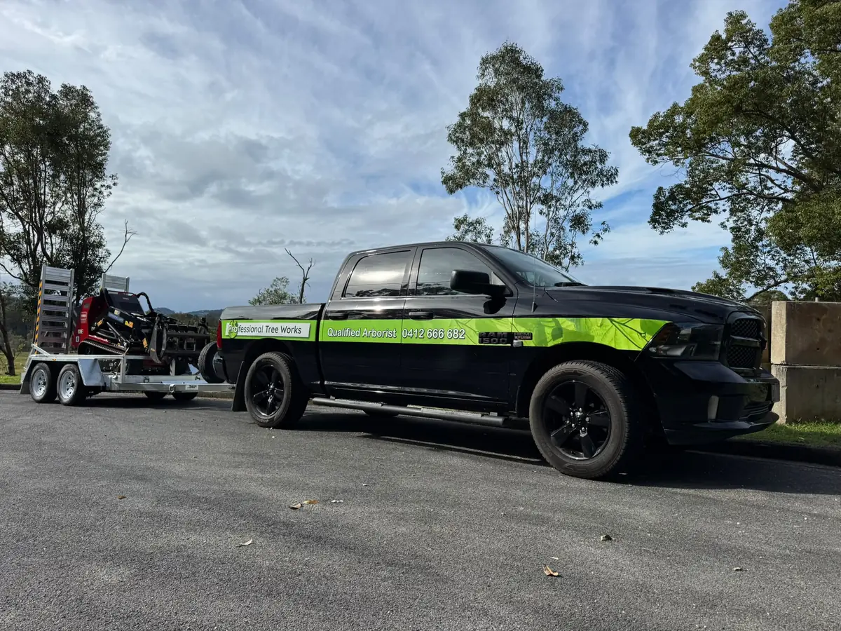 Professional Tree Works truck and equipment on the Gold Coast